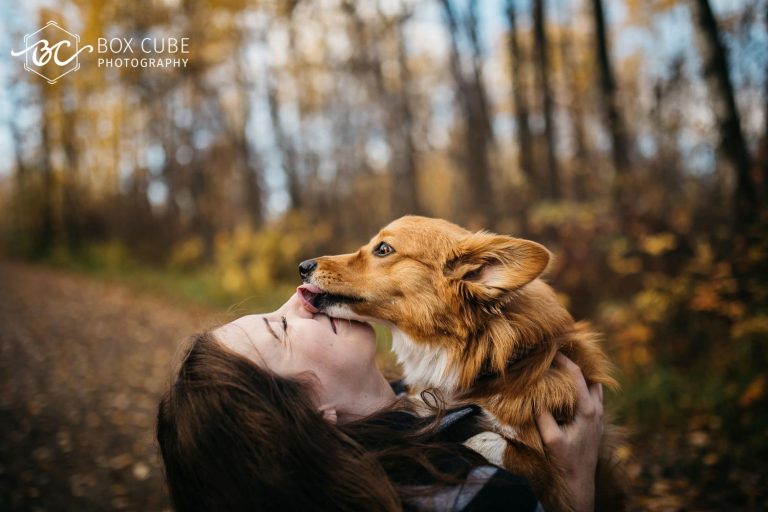 edmonton-family-photographers-box-cube-photography-schulz-terwillegar-dog-park-corgi-fall-family-session 3