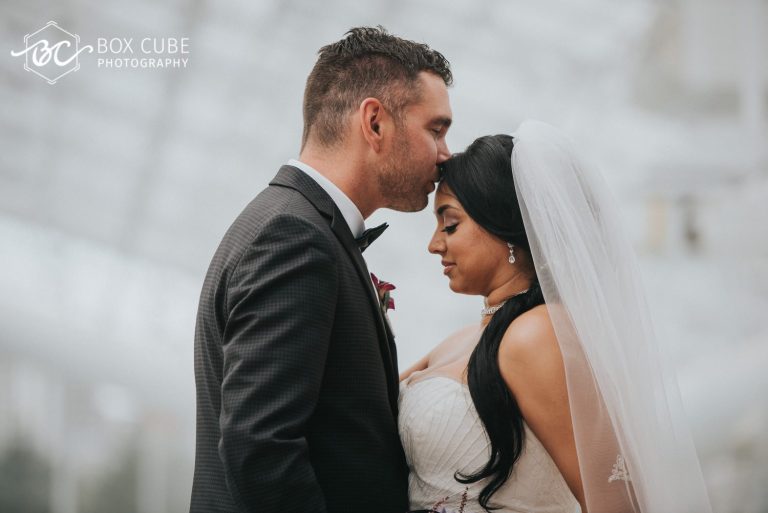 bond-wedding-at-hindu-society-of-alberta-hindu-wedding-royal-glenora-club-wedding-edmonton-wedding-photographers-box-cube-photography-2016-121