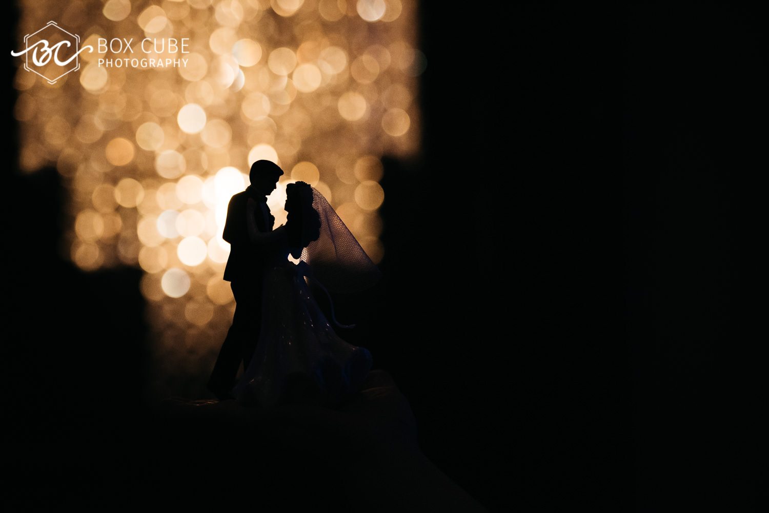 bond-wedding-at-hindu-society-of-alberta-hindu-wedding-royal-glenora-club-wedding-edmonton-wedding-photographers-box-cube-photography-2016-147