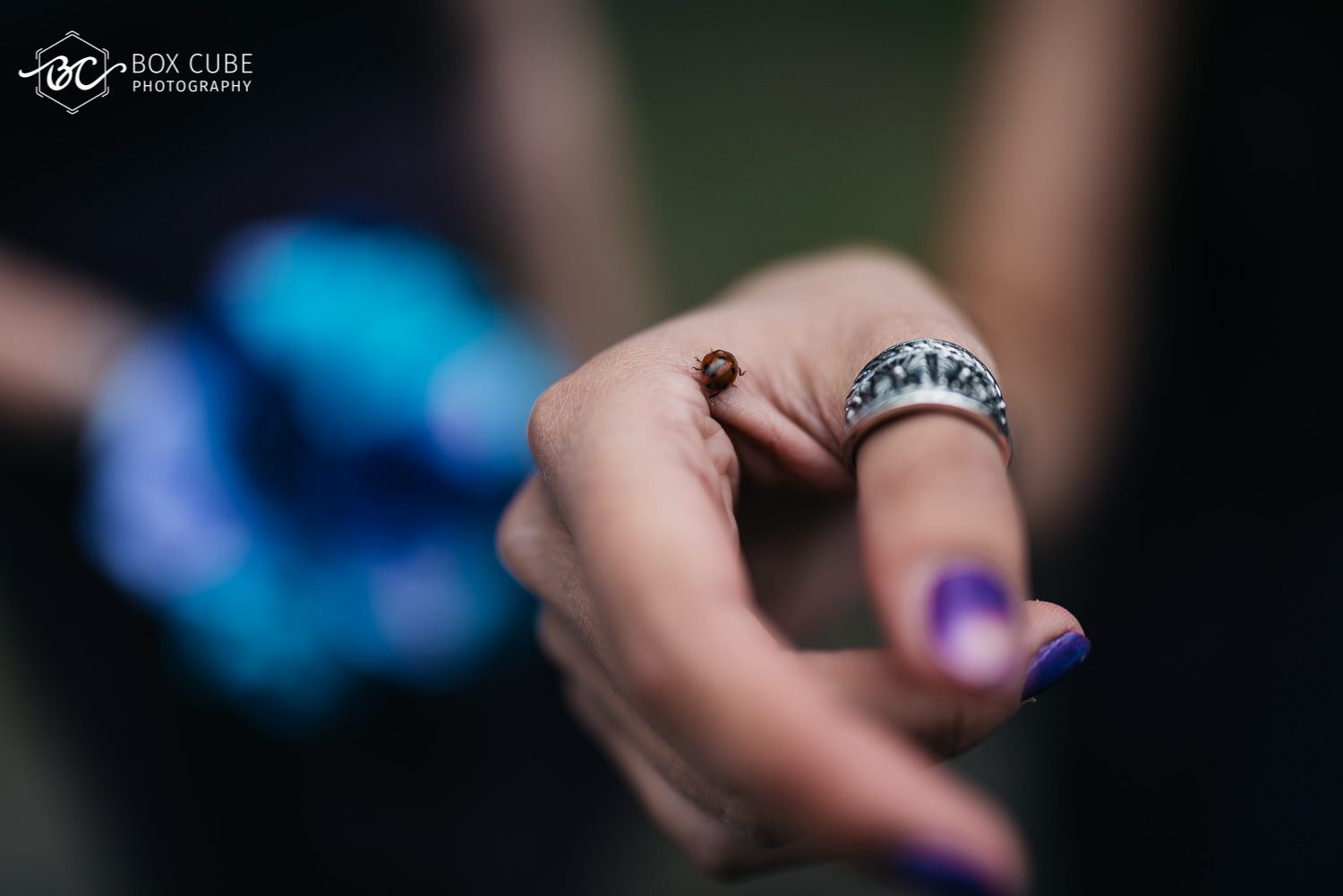 edmonton-chinese-alliance-church-wedding-double-tree-by-hilton-wedding-box-cube-photography-1-of-59