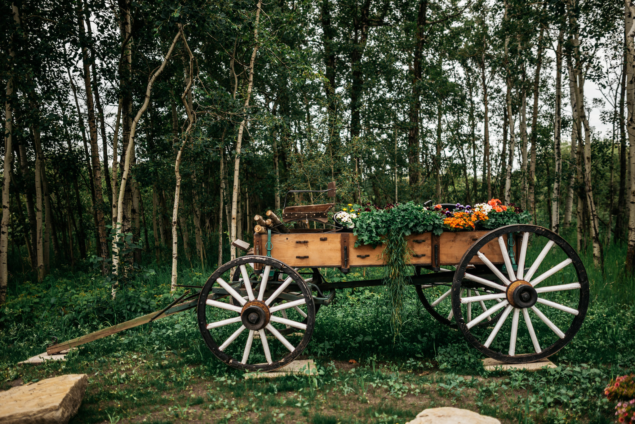 edmonton wedding venue whitewood barn