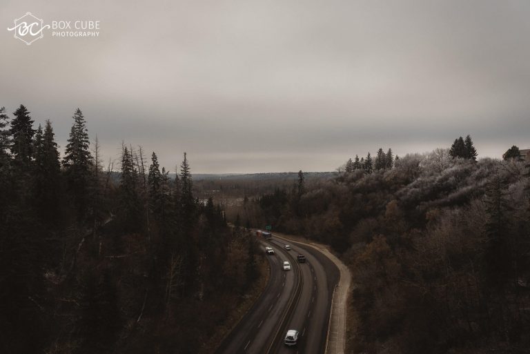Portrait-session-edmonton-alberta