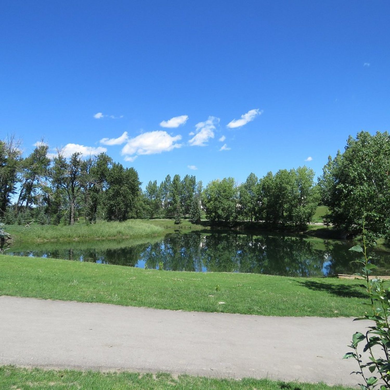 Still lake reflections and lush green trees at Carburn Park, showing the tranquil water features ideal for peaceful Calgary wedding photography.