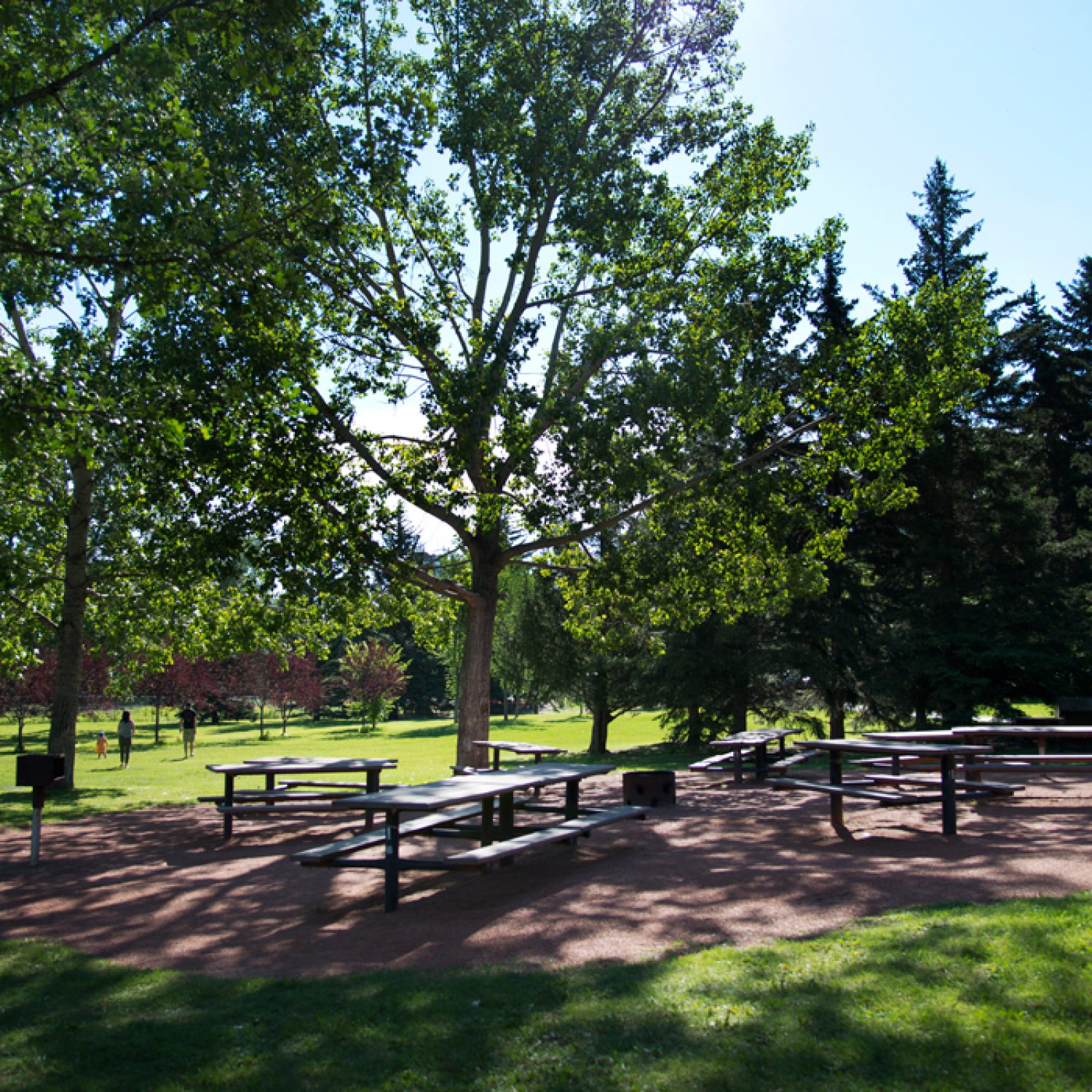 Edworthy Park, a scenic outdoor escape for wedding photos.
