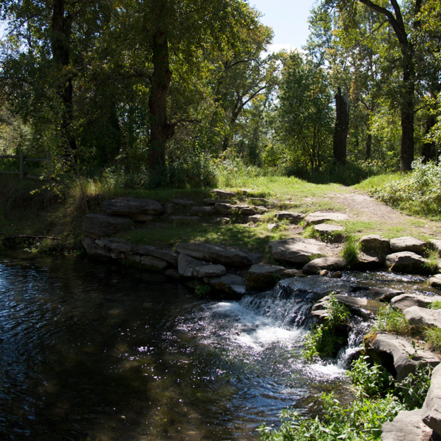 Tranquil riverside view at Pearce Estate Park with lush greenery and soft natural light, perfect for relaxed outdoor wedding portraits.