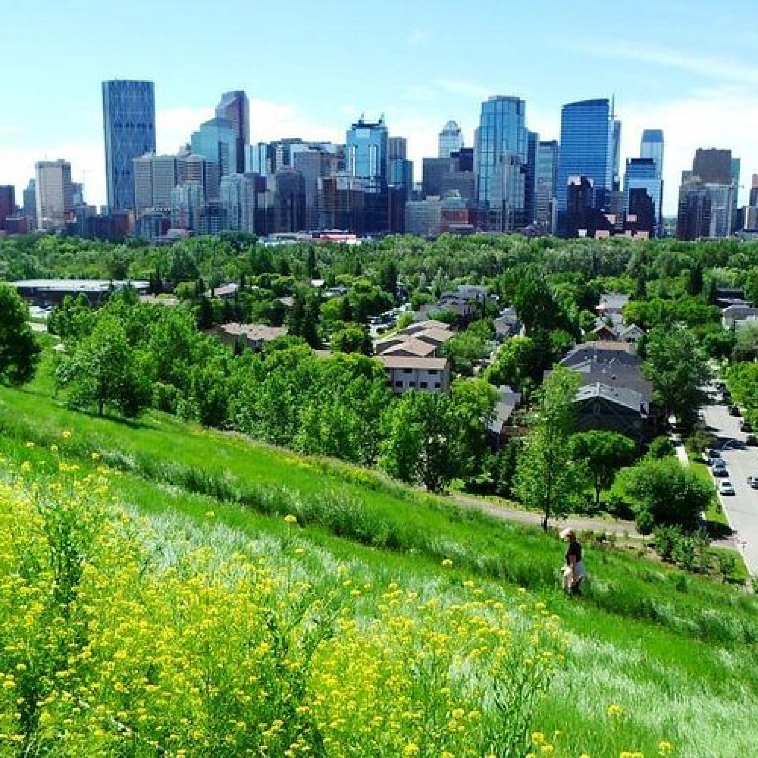 Vibrant park landscape at Prince’s Island Park near Eau Claire, showing the mix of manicured lawns and downtown Calgary views.