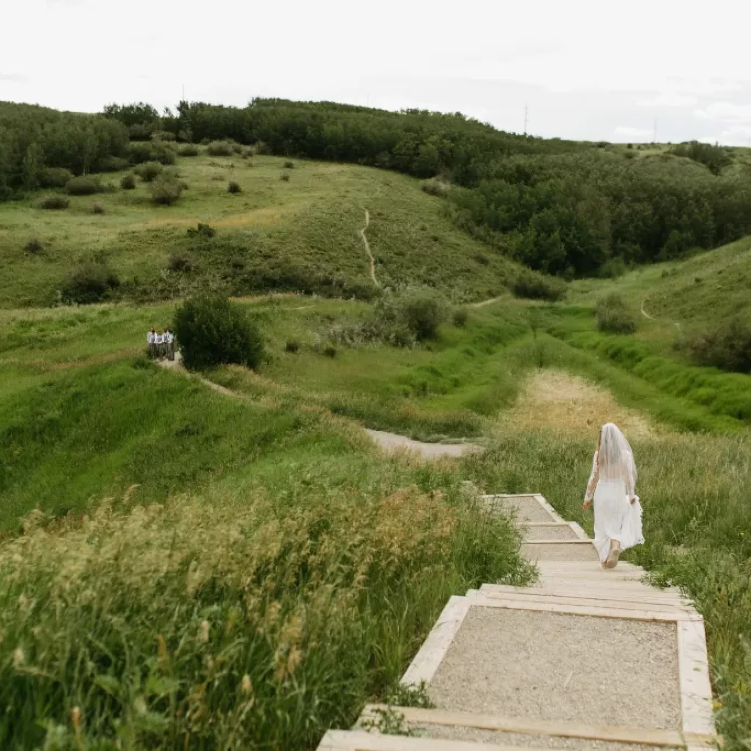 Expansive prairie landscape at the south end of Nose Hill Park with the Calgary skyline in the distance under a wide Alberta sky.