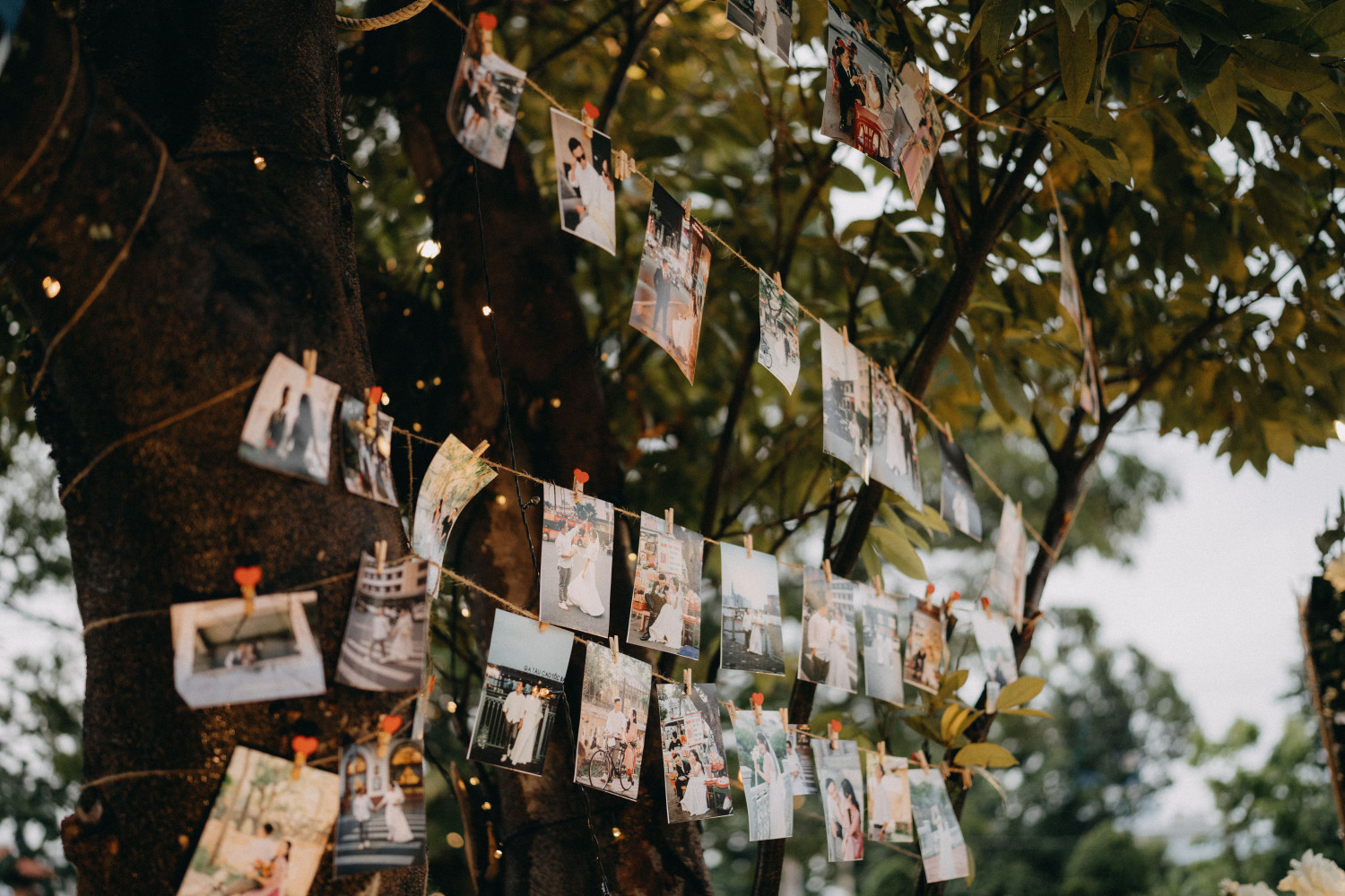 photo wall backdrop