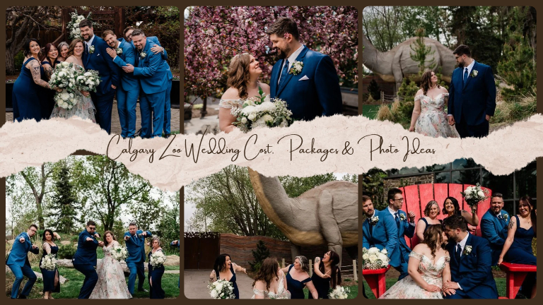 Calgary Zoo Wedding Cost, Packages & Photo Ideas